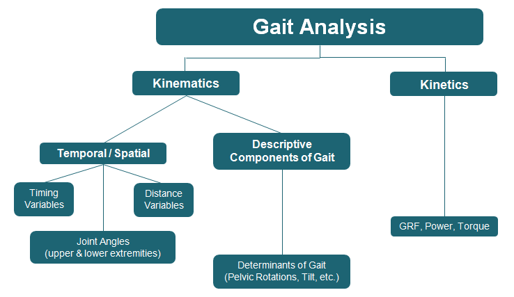 What Are the Various Types of Gait Analysis? | Tekscan